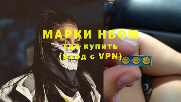 прущие грибы Медвежьегорск