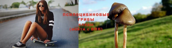 a pvp Майский