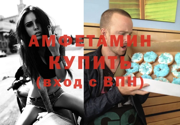 прущие грибы Медвежьегорск