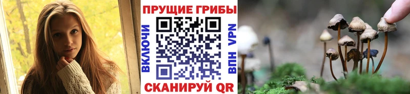Псилоцибиновые грибы GOLDEN TEACHER  Ахтырский 